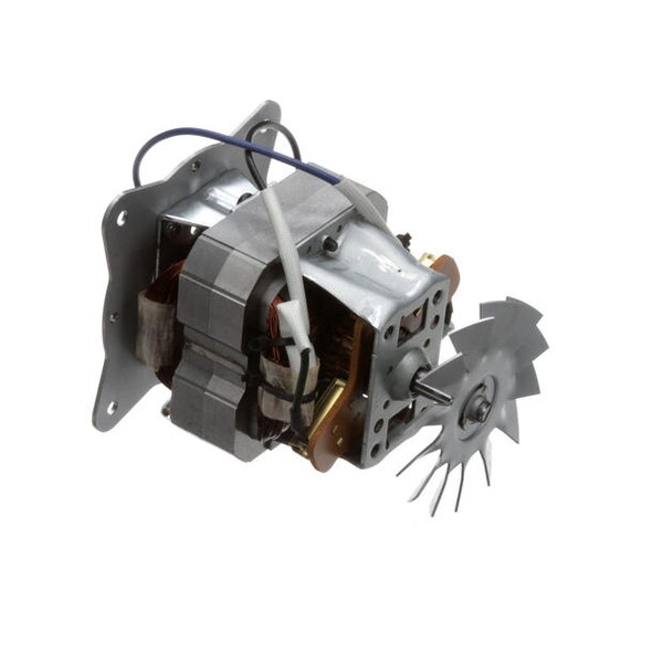 Motor